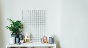 potted plants on table