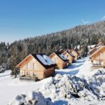 a row of wooden houses in the snow